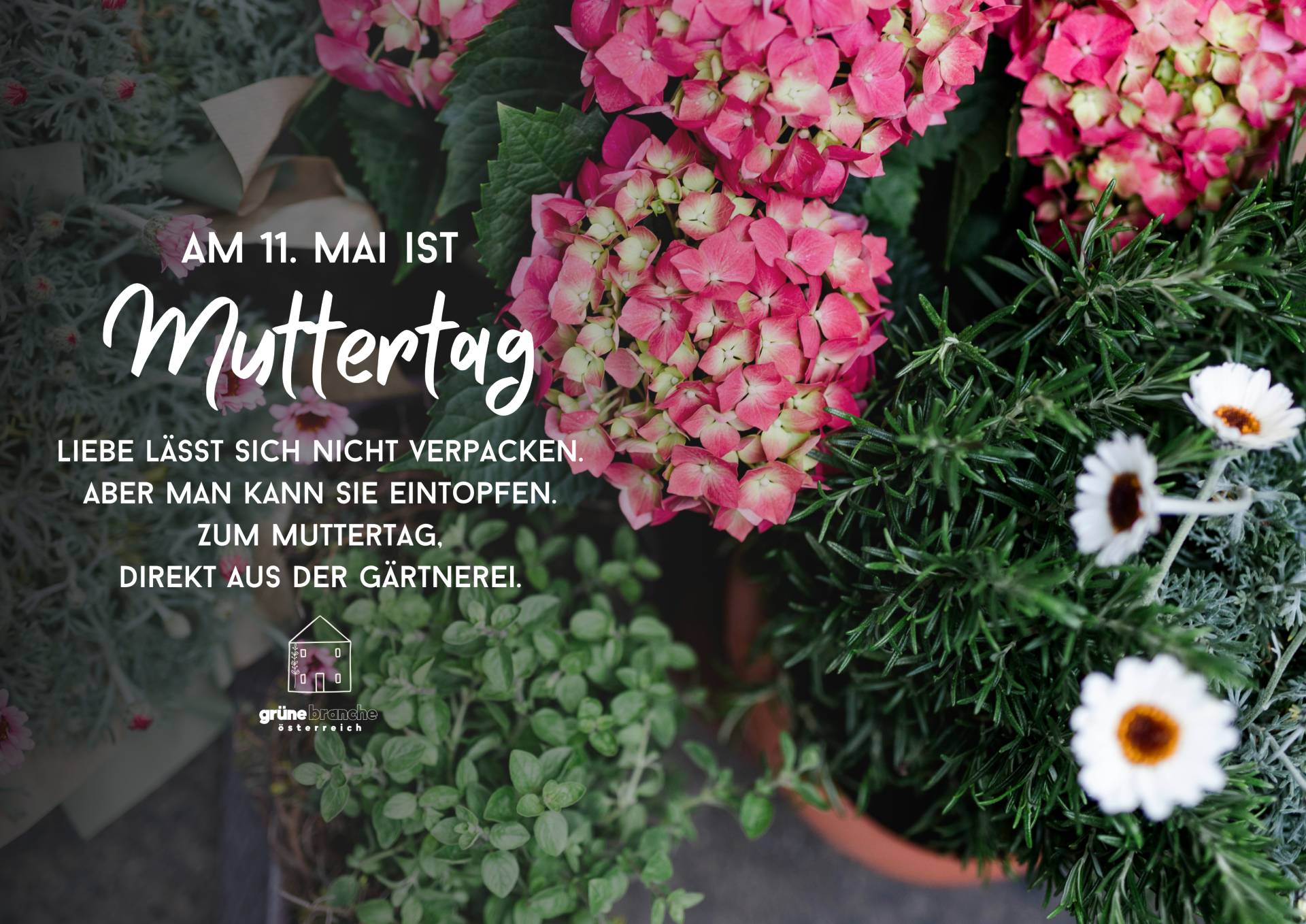 Blumen und Kräuter