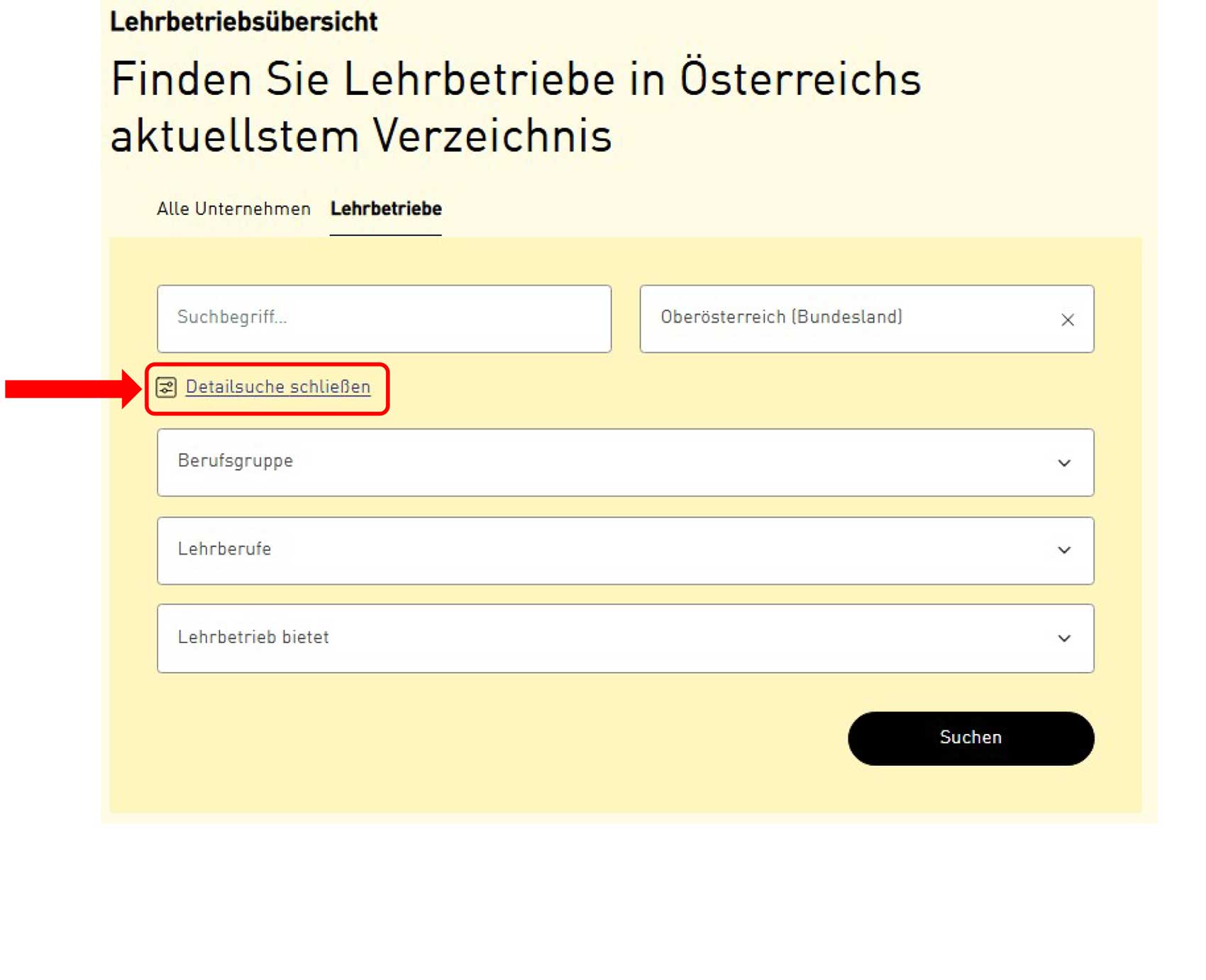 Eingabemaske der Lehrbetriebsübersicht Firmen A-Z