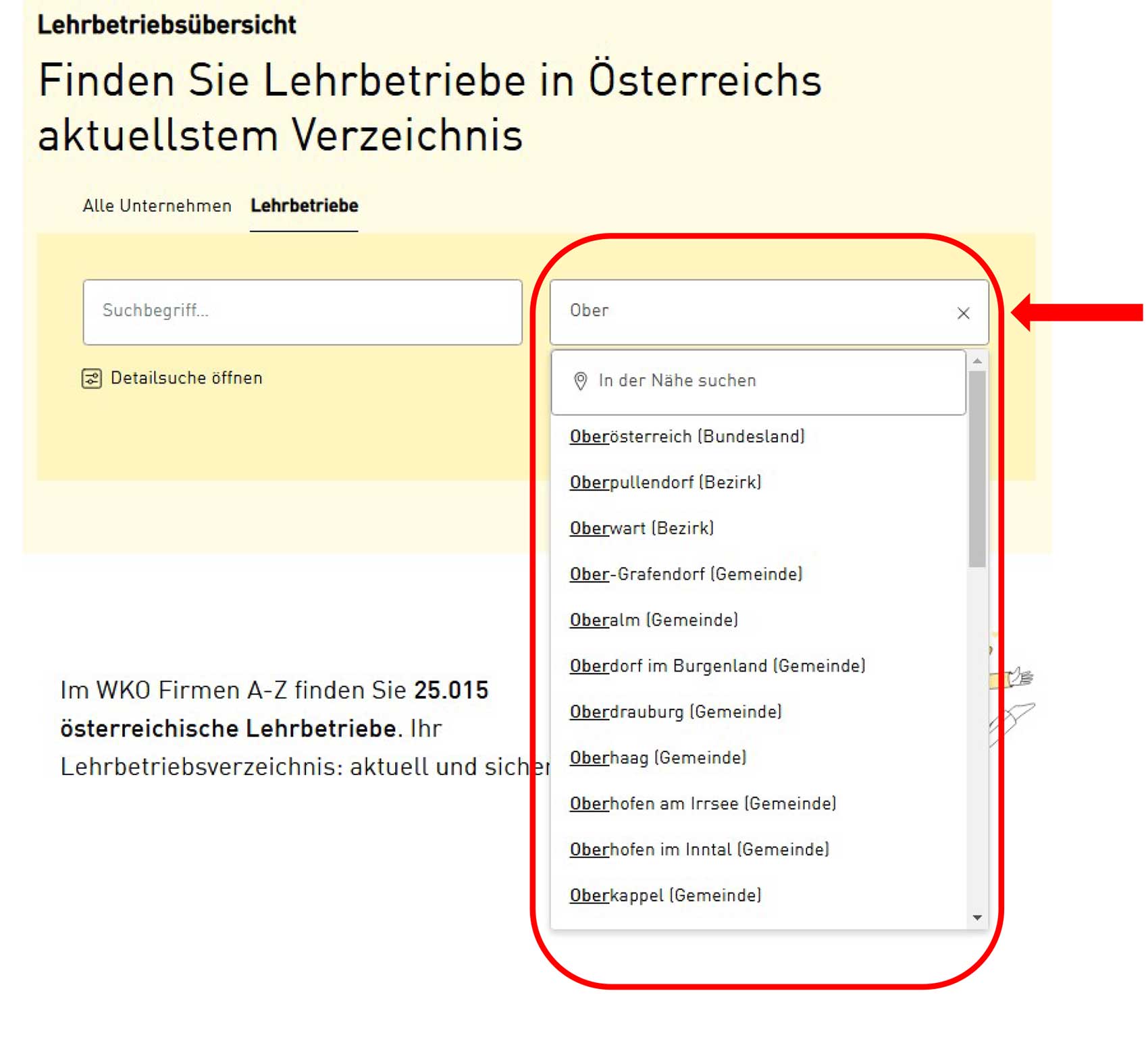 Eingabemaske der Lehrbetriebsübersicht Firmen A-Z